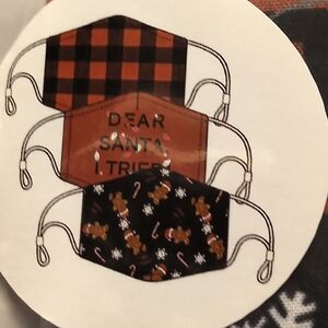 🆕DEAR SANTA HOLIDAY NON-MEDICAL REUSABLE MASKS - ADULT 3 PACK